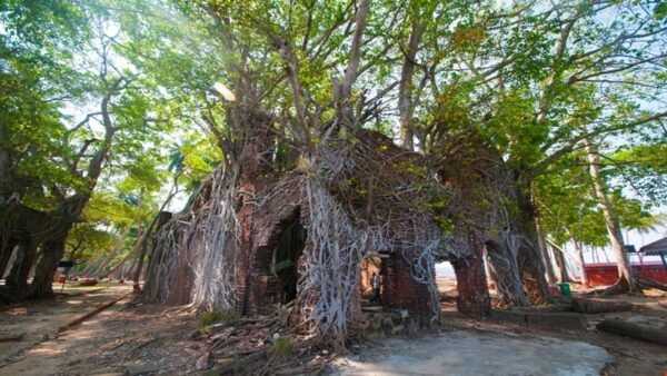 ross-island-shutterstock-26
